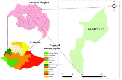 Burden and factors influencing intestinal parasitic infections among food handlers in Gondar City, Northwest Ethiopia